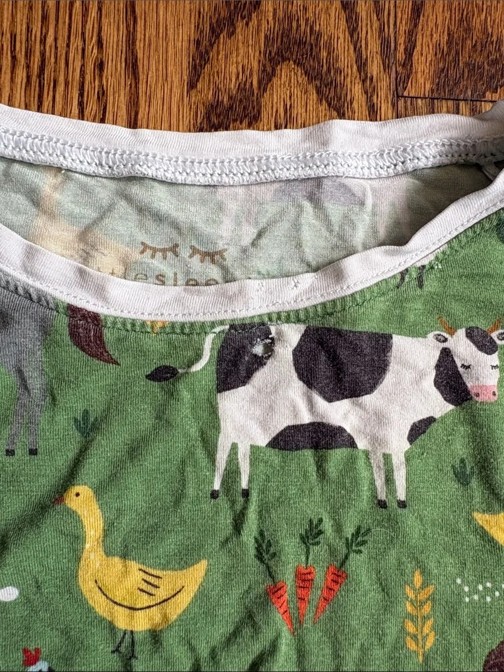 Little Sleepies green bamboo Farm Animals print, 2 piece pajama set. Size 9/10